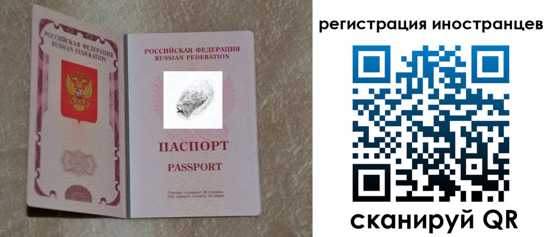прописка законно в Алексеевке